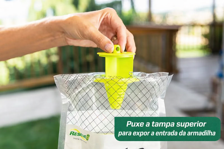Armadilha para moscas Fly Trap (A MAIS EFICAZ)
